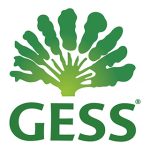 gess singapore